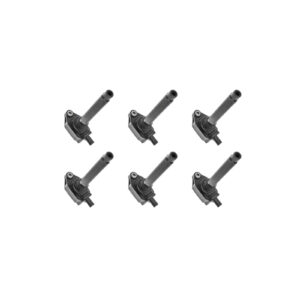 كويلات بواجي دودج / كرايسلر / جيب (2011-2023)