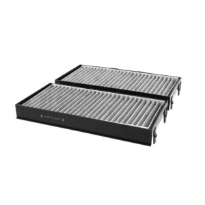 BMW AC Air Filter (X5 / X6 (2007-2019