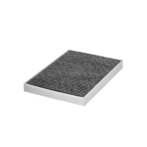 AC Air Filter (Carbon) Audi / Porsche