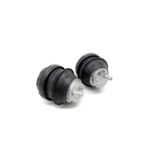 Engine Mounts Caprice / Lumina (2005-2006)