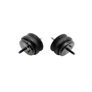 Engine Mounts Caprice / Lumina (2000 - 2006)