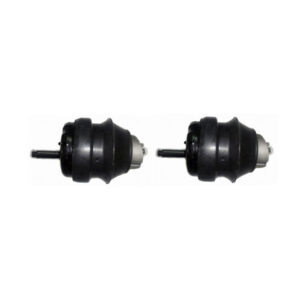 Engine Mounts Caprice / Lumina (2007-2017)
