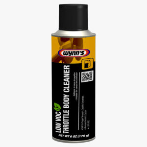 Air Intake and Carburetor Cleaner (Throttle)
